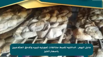 عاجل اليوم.. الداخلية تضبط مخالفات تموينية كبيرة وتلاحق المتلاعبين بأسعار الخبز